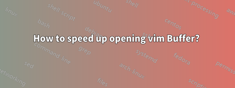 How to speed up opening vim Buffer?