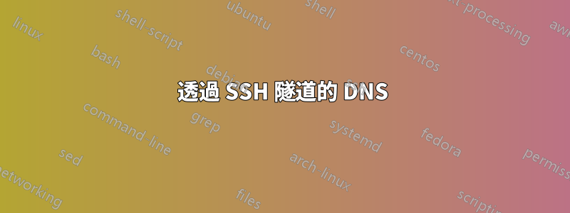 透過 SSH 隧道的 DNS