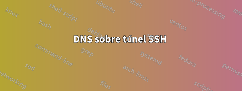 DNS sobre túnel SSH
