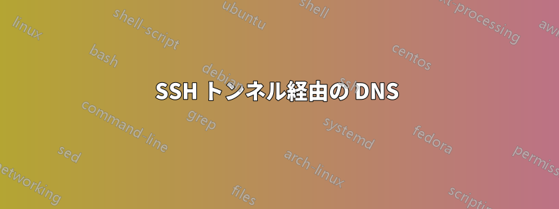 SSH トンネル経由の DNS