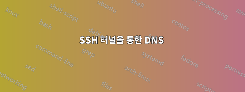 SSH 터널을 통한 DNS