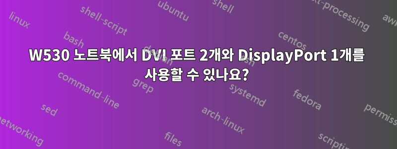 W530 노트북에서 DVI 포트 2개와 DisplayPort 1개를 사용할 수 있나요?