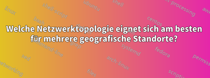 Welche Netzwerktopologie eignet sich am besten für mehrere geografische Standorte?