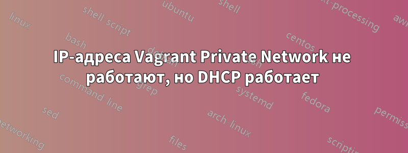 IP-адреса Vagrant Private Network не работают, но DHCP работает