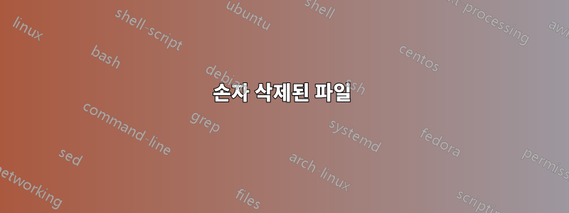손자 삭제된 파일