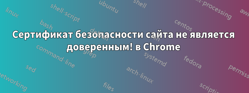 Сертификат безопасности сайта не является доверенным! в Chrome
