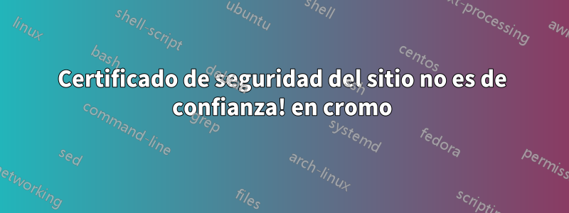 Certificado de seguridad del sitio no es de confianza! en cromo