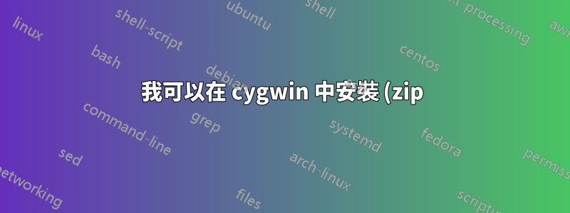 我可以在 cygwin 中安裝 (zip) 存檔嗎?