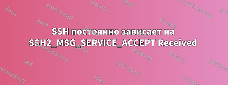SSH постоянно зависает на SSH2_MSG_SERVICE_ACCEPT Received