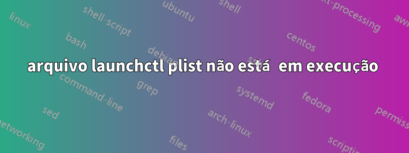 arquivo launchctl plist não está em execução