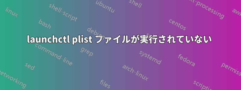 launchctl plist ファイルが実行されていない