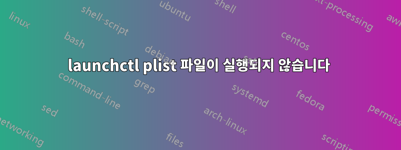 launchctl plist 파일이 실행되지 않습니다