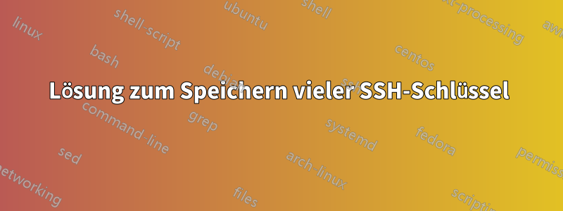 Lösung zum Speichern vieler SSH-Schlüssel