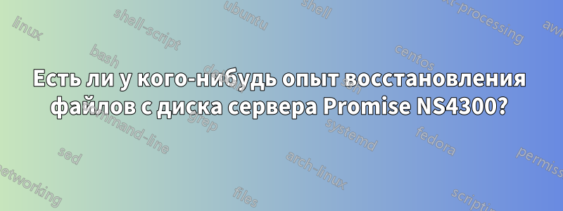 Есть ли у кого-нибудь опыт восстановления файлов с диска сервера Promise NS4300?