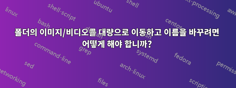 폴더의 이미지/비디오를 대량으로 이동하고 이름을 바꾸려면 어떻게 해야 합니까?