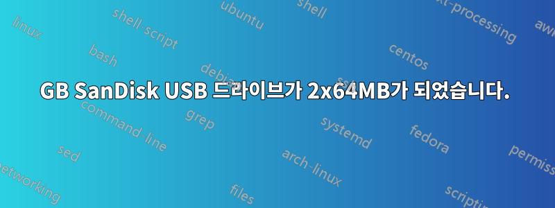 16GB SanDisk USB 드라이브가 2x64MB가 되었습니다.