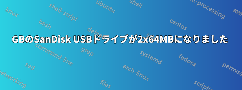 16GBのSanDisk USBドライブが2x64MBになりました