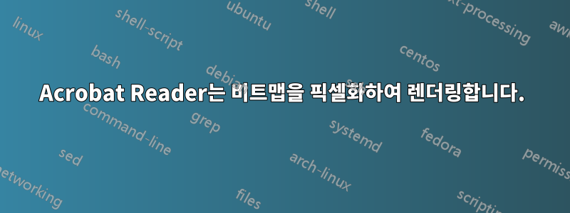 Acrobat Reader는 비트맵을 픽셀화하여 렌더링합니다.