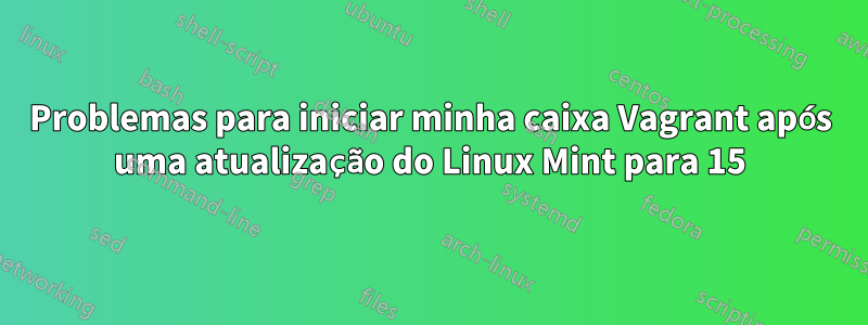 Problemas para iniciar minha caixa Vagrant após uma atualização do Linux Mint para 15