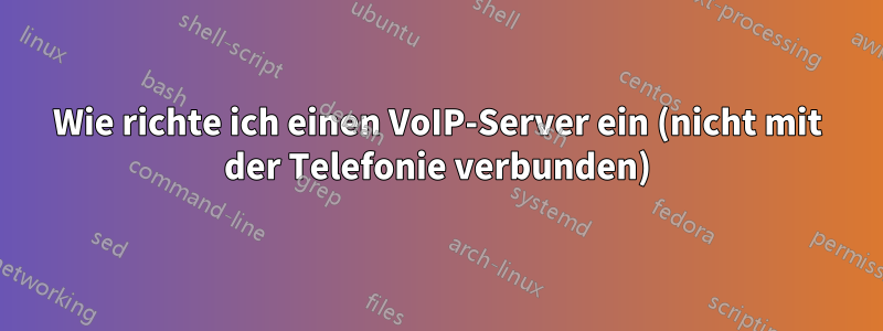 Wie richte ich einen VoIP-Server ein (nicht mit der Telefonie verbunden)