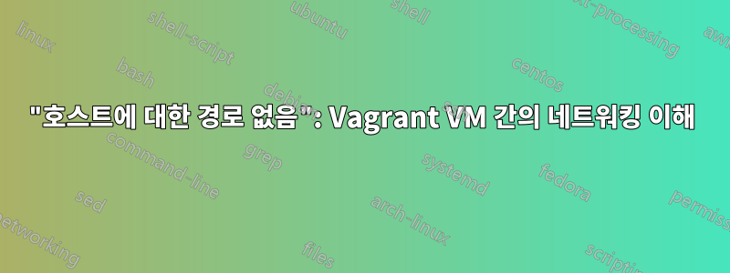 "호스트에 대한 경로 없음": Vagrant VM 간의 네트워킹 이해