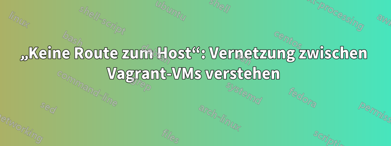 „Keine Route zum Host“: Vernetzung zwischen Vagrant-VMs verstehen