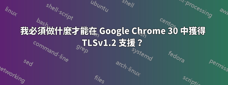 我必須做什麼才能在 Google Chrome 30 中獲得 TLSv1.2 支援？