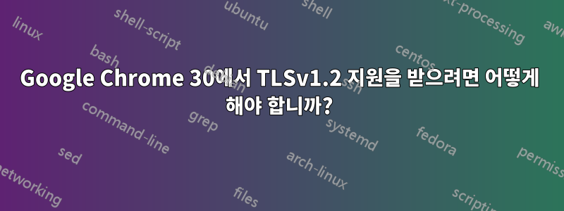 Google Chrome 30에서 TLSv1.2 지원을 받으려면 어떻게 해야 합니까?
