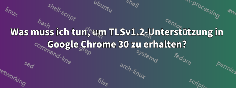 Was muss ich tun, um TLSv1.2-Unterstützung in Google Chrome 30 zu erhalten?