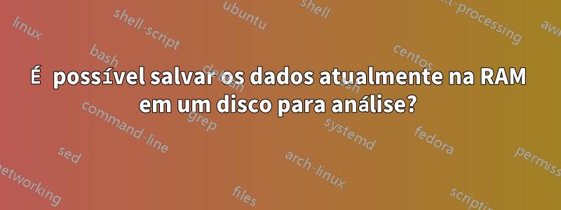 É possível salvar os dados atualmente na RAM em um disco para análise?