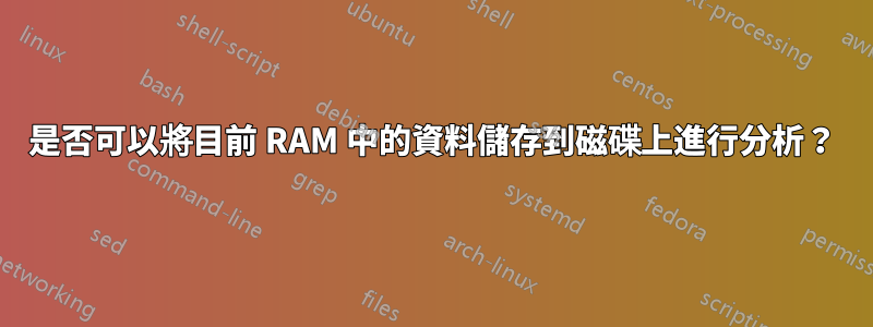 是否可以將目前 RAM 中的資料儲存到磁碟上進行分析?