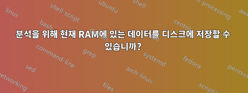 분석을 위해 현재 RAM에 있는 데이터를 디스크에 저장할 수 있습니까?