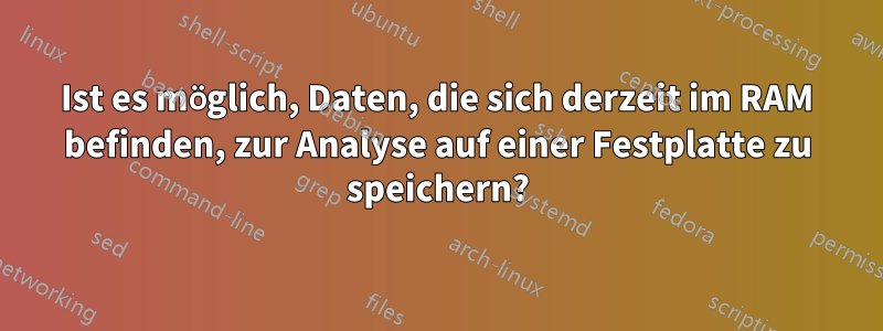 Ist es möglich, Daten, die sich derzeit im RAM befinden, zur Analyse auf einer Festplatte zu speichern?