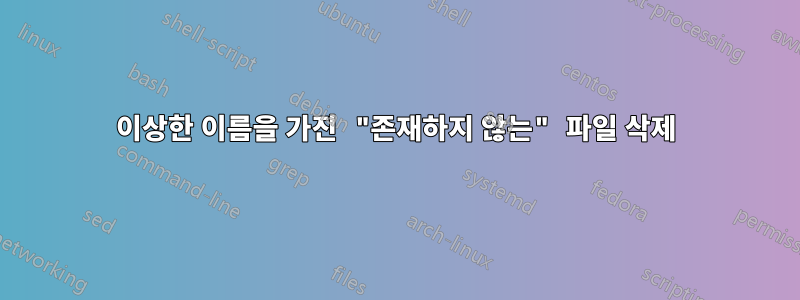 이상한 이름을 가진 "존재하지 않는" 파일 삭제