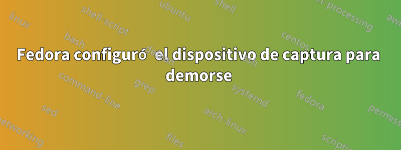 Fedora configuró el dispositivo de captura para demorse