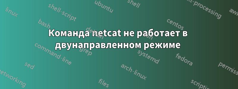 Команда netcat не работает в двунаправленном режиме