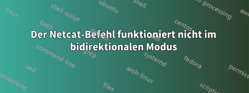 Der Netcat-Befehl funktioniert nicht im bidirektionalen Modus