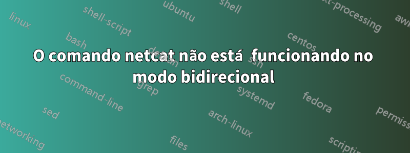 O comando netcat não está funcionando no modo bidirecional