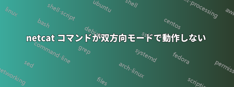 netcat コマンドが双方向モードで動作しない