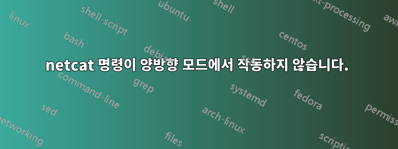 netcat 명령이 양방향 모드에서 작동하지 않습니다.