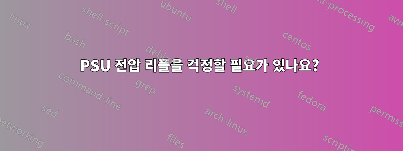 PSU 전압 리플을 걱정할 필요가 있나요?