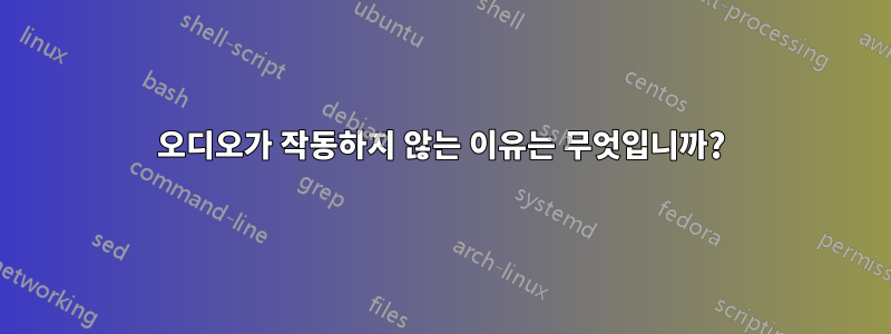 오디오가 작동하지 않는 이유는 무엇입니까?