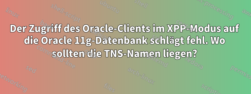 Der Zugriff des Oracle-Clients im XPP-Modus auf die Oracle 11g-Datenbank schlägt fehl. Wo sollten die TNS-Namen liegen?