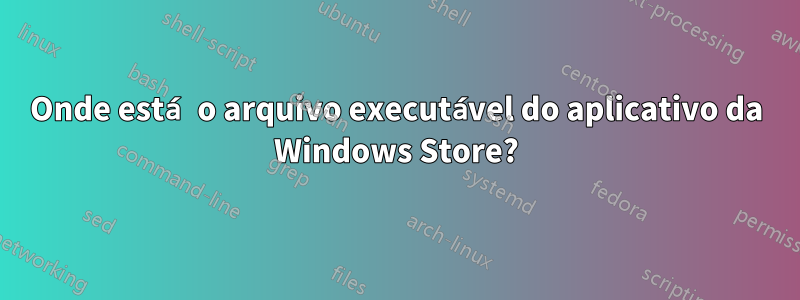 Onde está o arquivo executável do aplicativo da Windows Store?