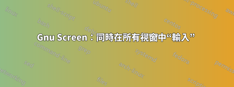 Gnu Screen：同時在所有視窗中“輸入”