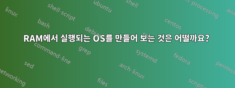 RAM에서 실행되는 OS를 만들어 보는 것은 어떨까요?