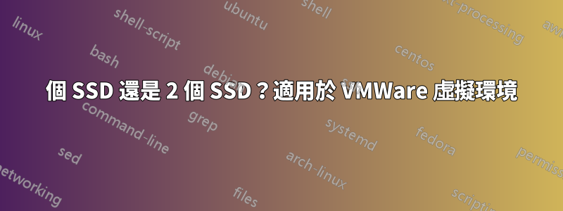 1 個 SSD 還是 2 個 SSD？適用於 VMWare 虛擬環境