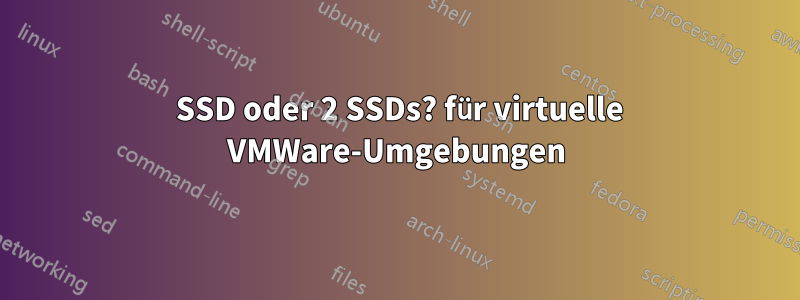 1 SSD oder 2 SSDs? für virtuelle VMWare-Umgebungen