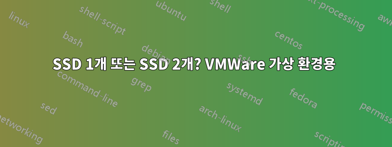 SSD 1개 또는 SSD 2개? VMWare 가상 환경용