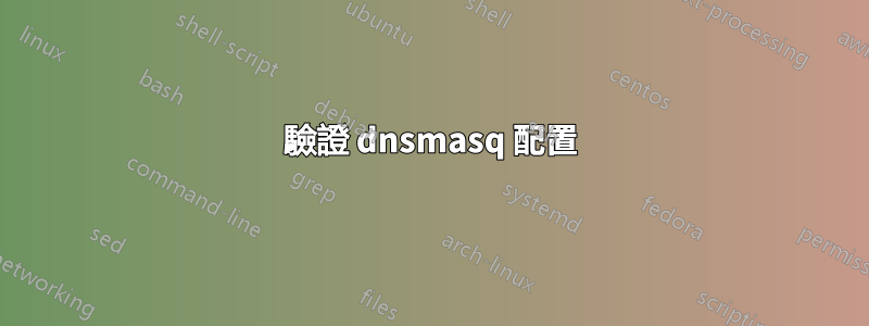 驗證 dnsmasq 配置